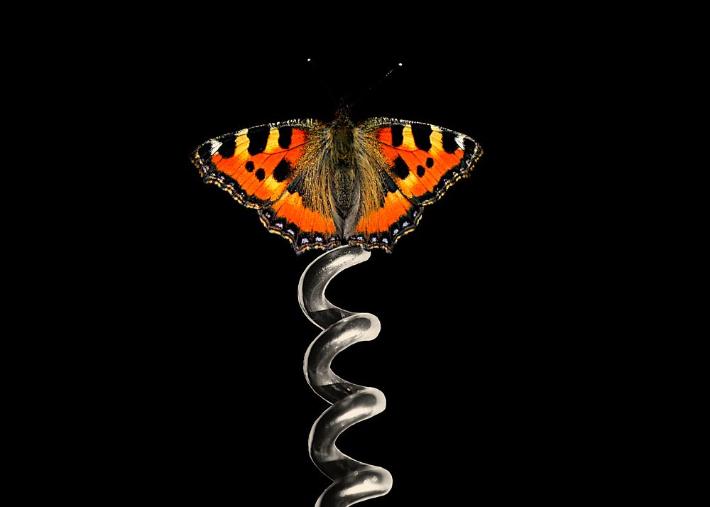 Photograph by дмитрий