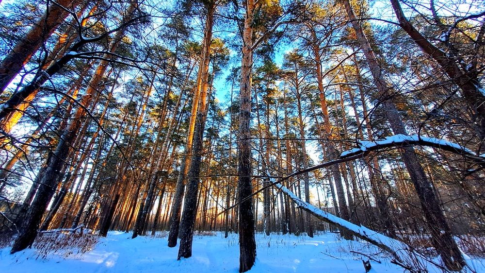 Photograph by Николай Худяков