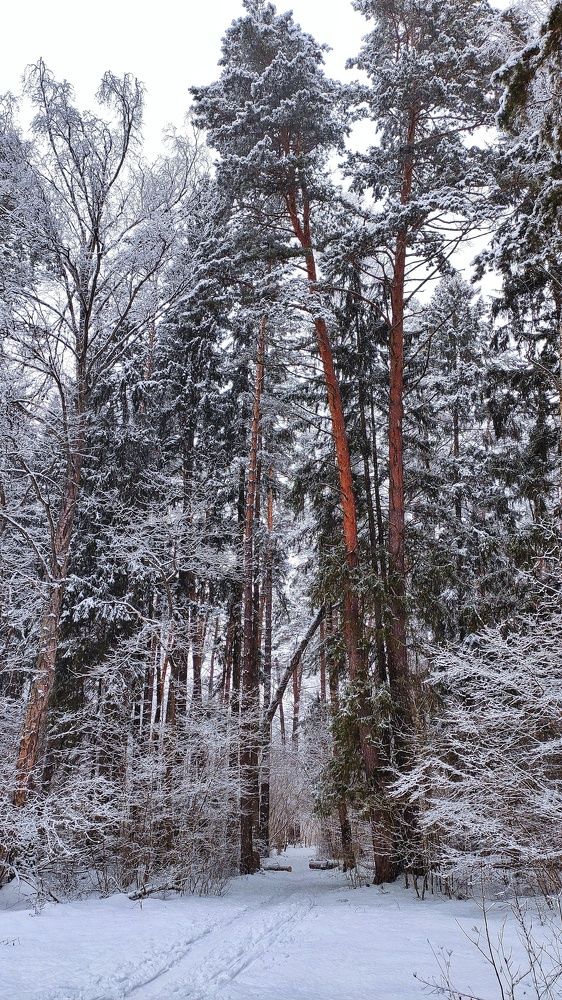 Photograph by Мария Иванова