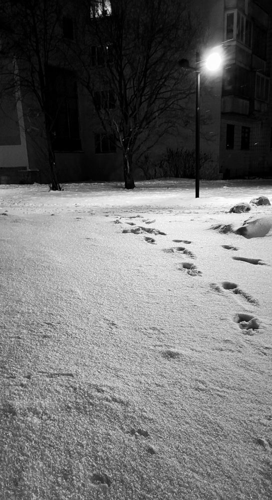 Photograph by Елена Юдина