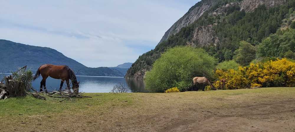 Photograph by CARLOS JAVIER PIRALI