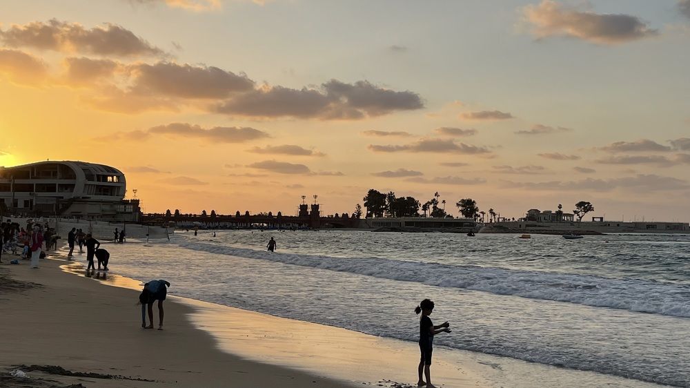 Фотография автора Hala Ali