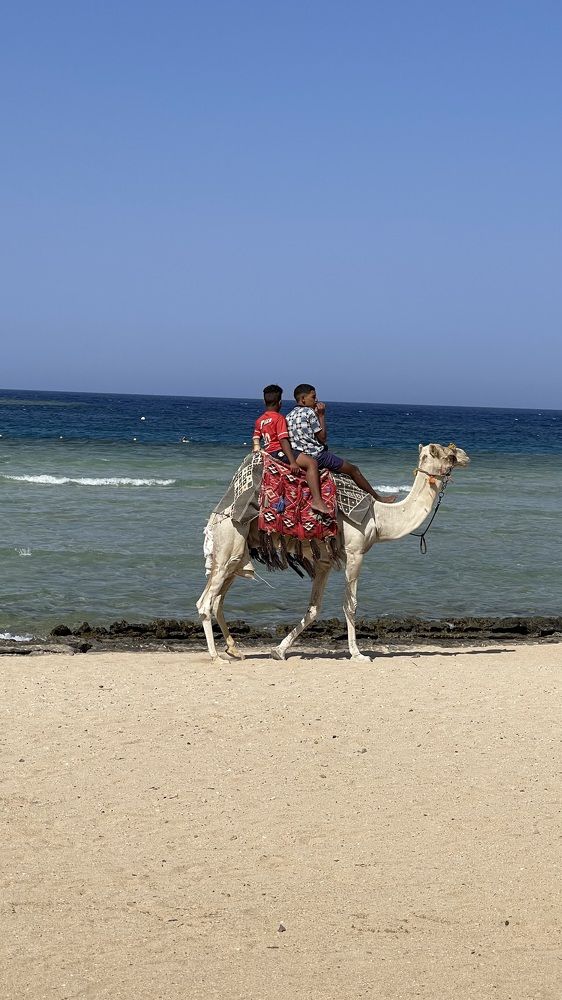 Фотография автора Hala Ali