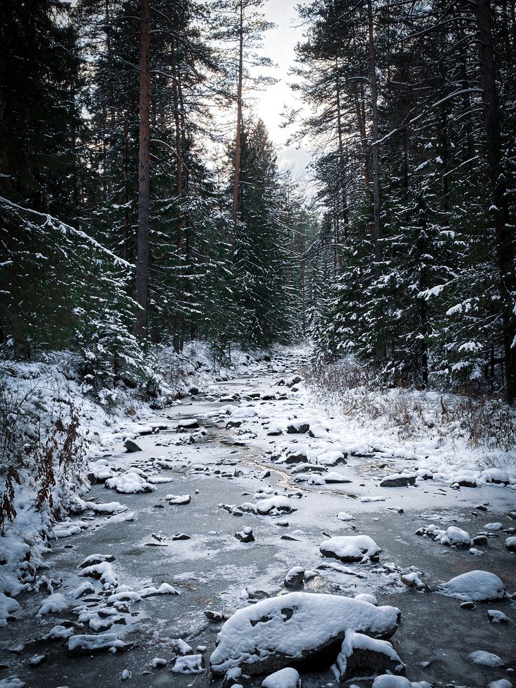 Photograph by Анастасия Чушкова