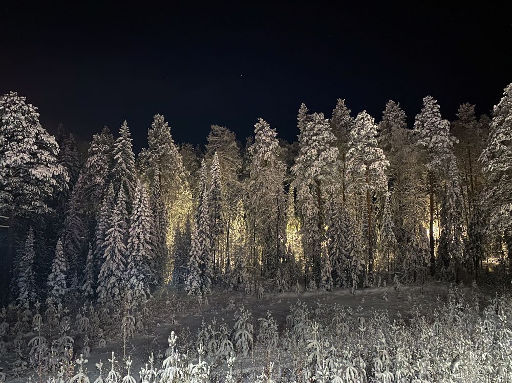 Photograph by Анастасия Чушкова