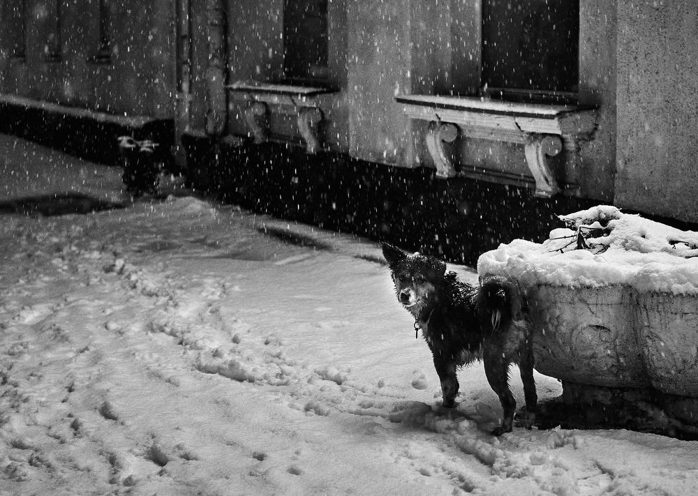 Photograph by Наталья Новикова