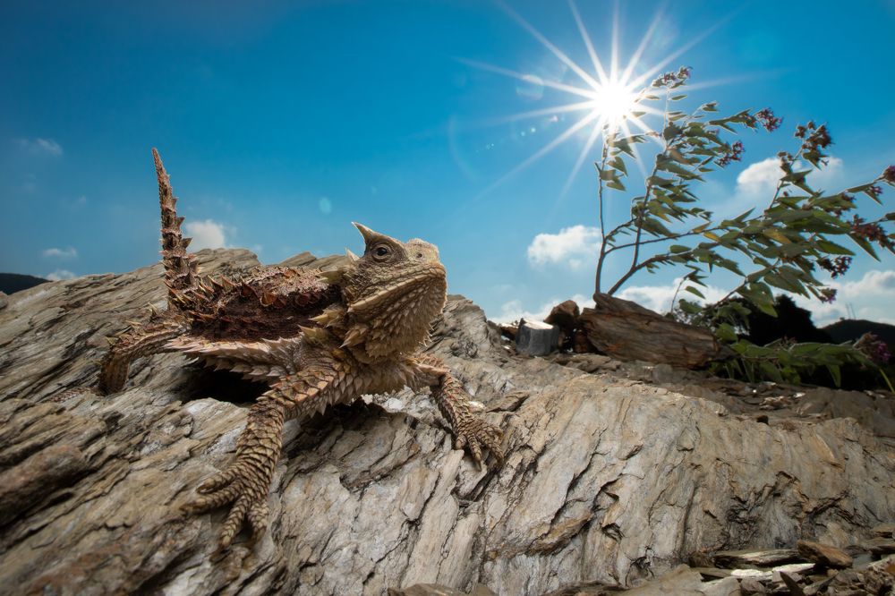 Photograph by Omar Carax