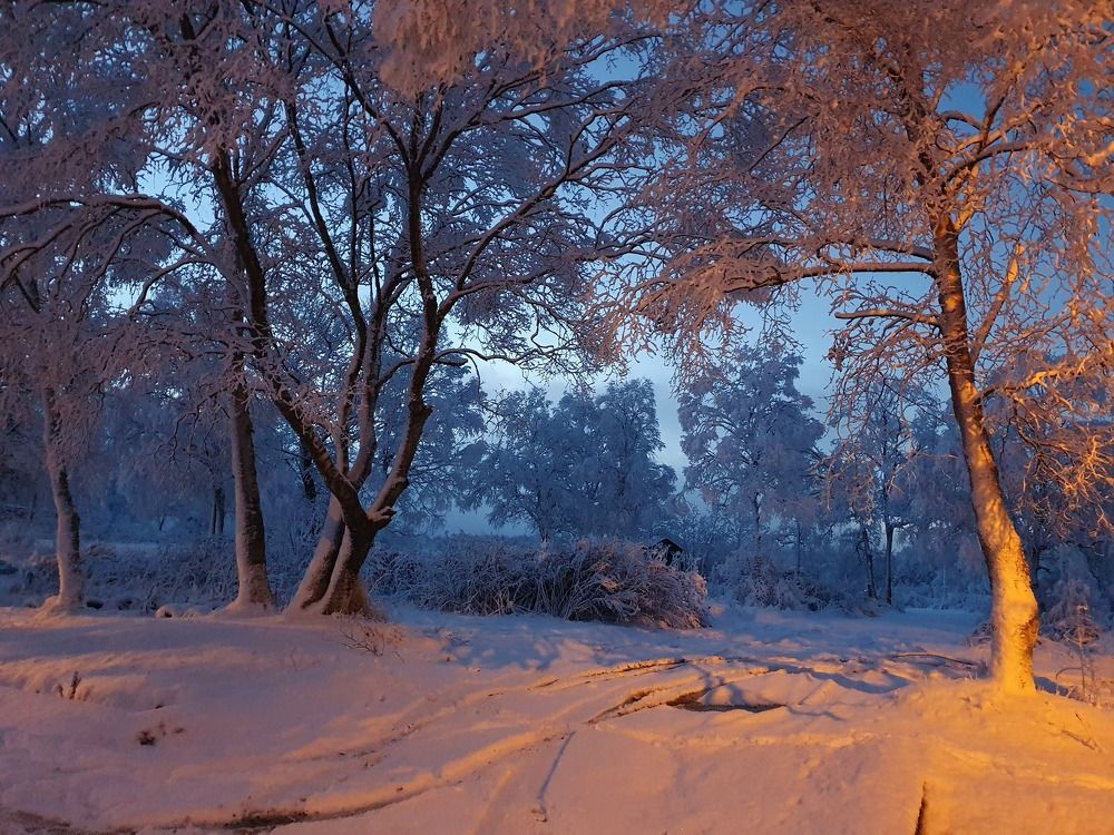 Photograph by Жанна Регор