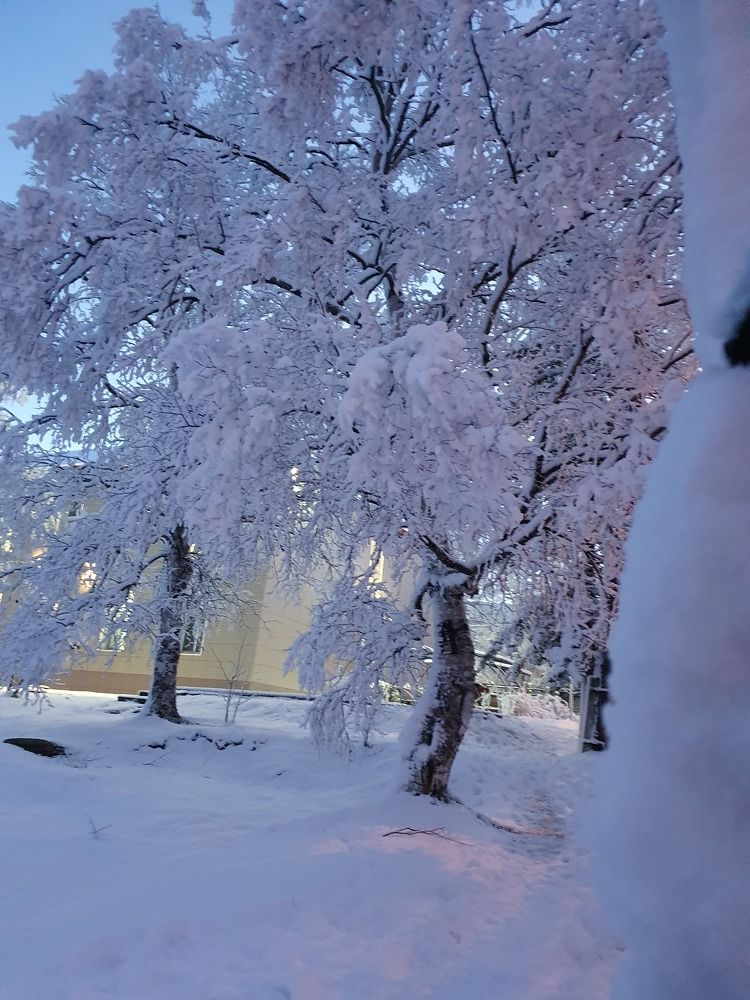 Photograph by Жанна Регор