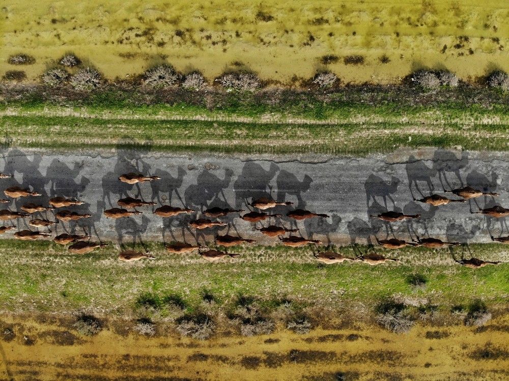 Photograph by Mohammad hossein Moheimani