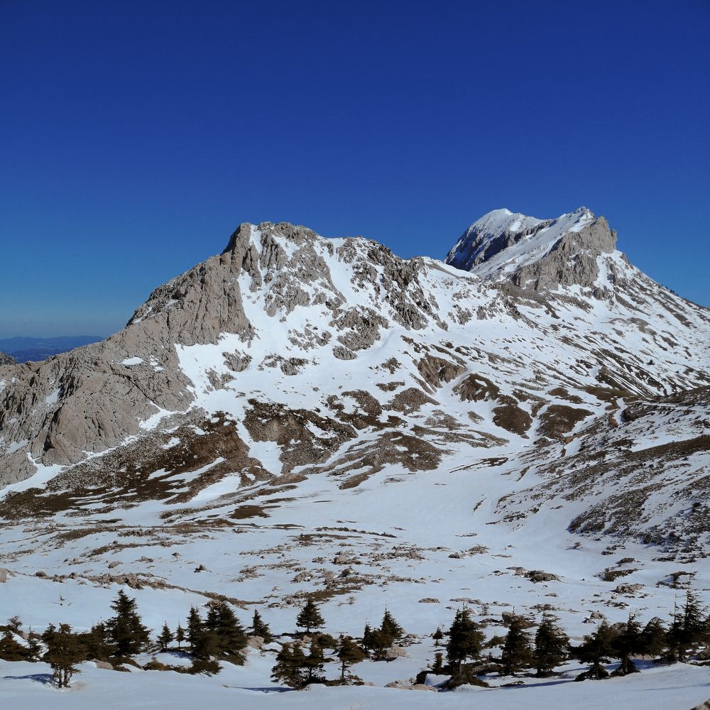 Photograph by Mohamed Larbi Larouk