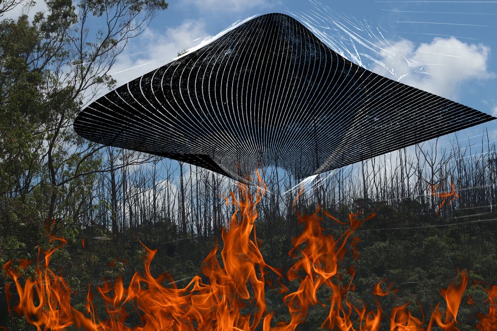 Photograph by Juliana