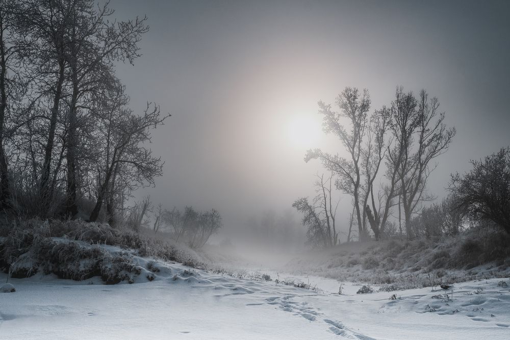 Photograph by Kostantin Belonogov