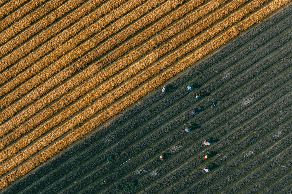 Photograph by Trung Hoa Vo