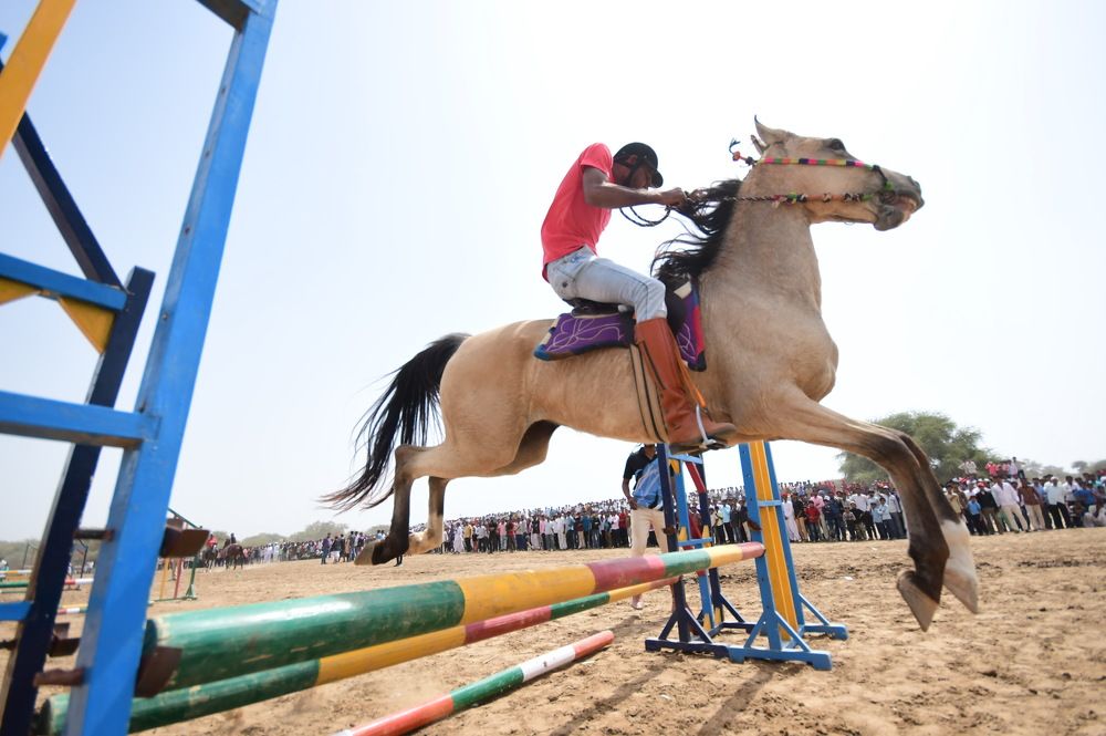 Photograph by siddharth rathod