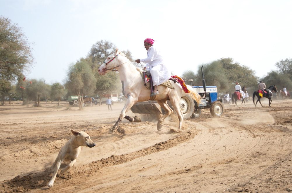 Photograph by siddharth rathod