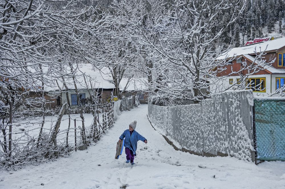 Photograph by Shampa Bhowmik