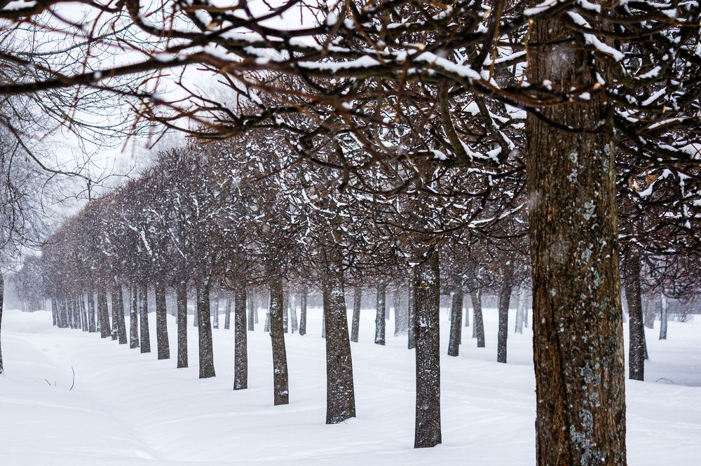 Фотография автора Таисия