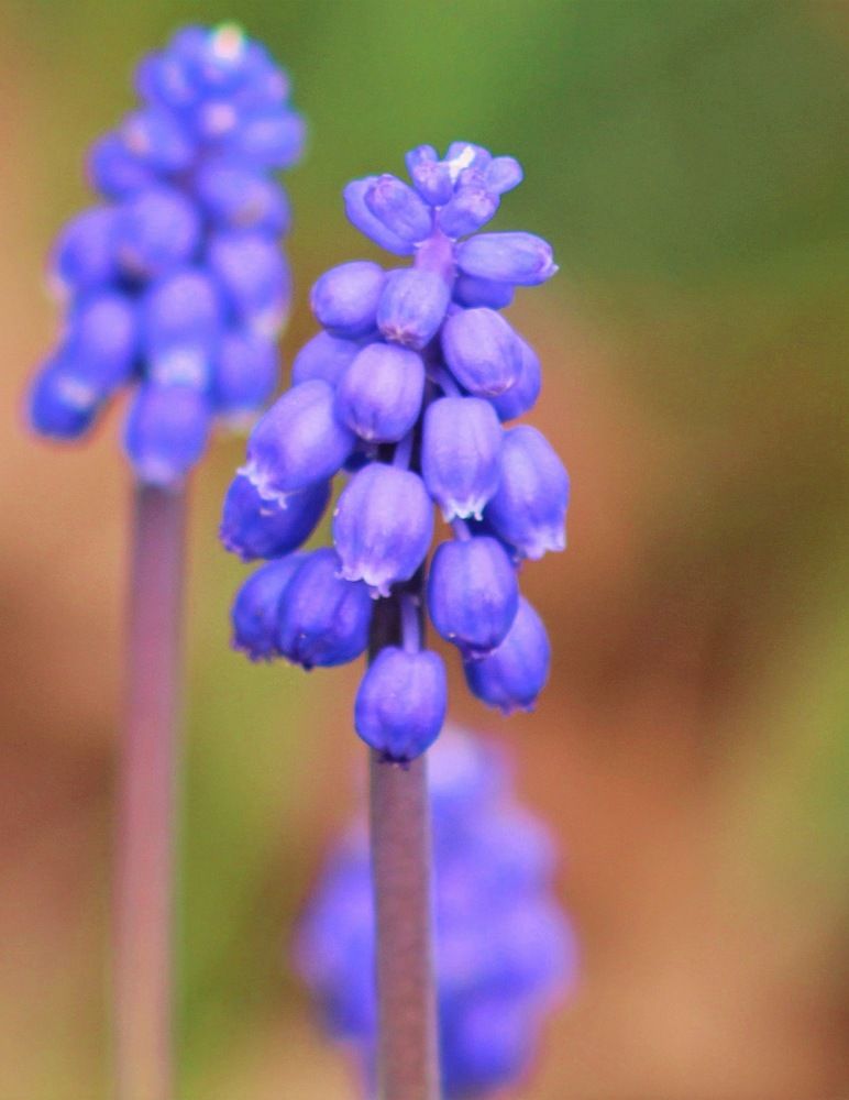 Photograph by Kirsteen Isles