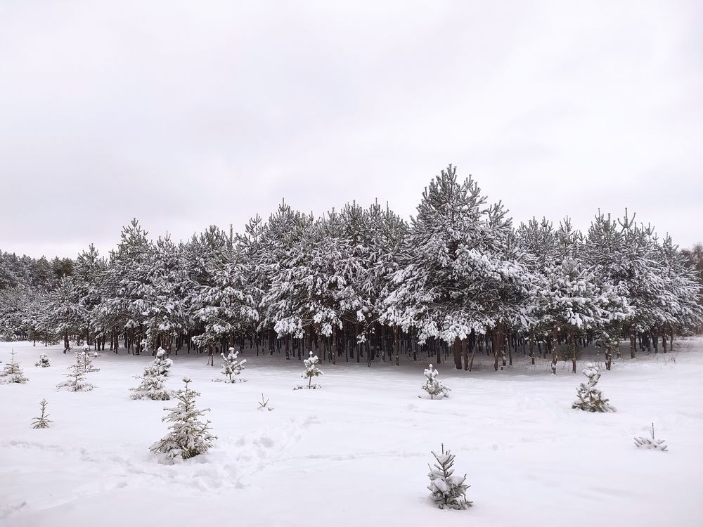 Photograph by Ирина Половцева