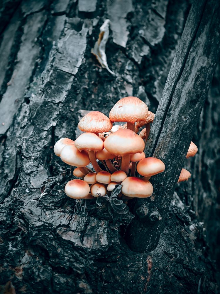 Фотография автора Иван Мисько