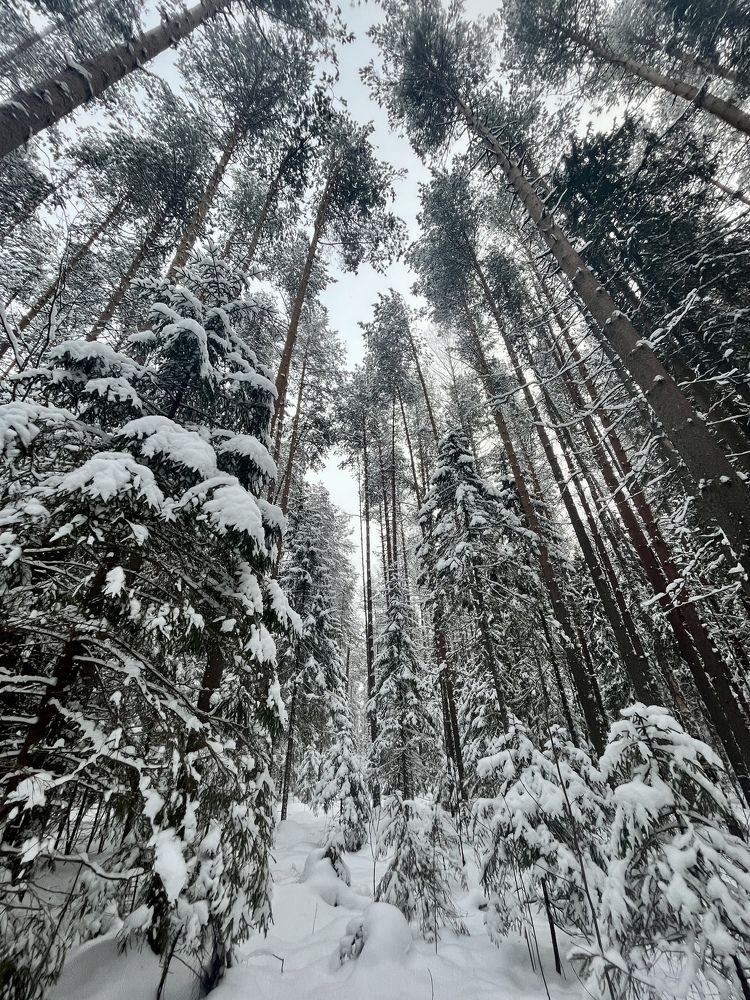 Photograph by Елена Карпухно