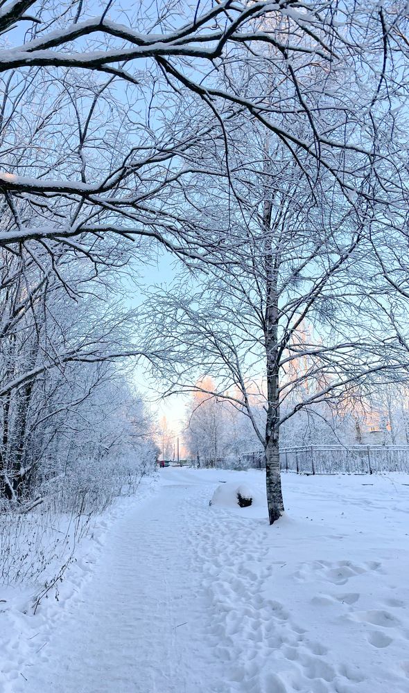 Photograph by Валентина Ивашова