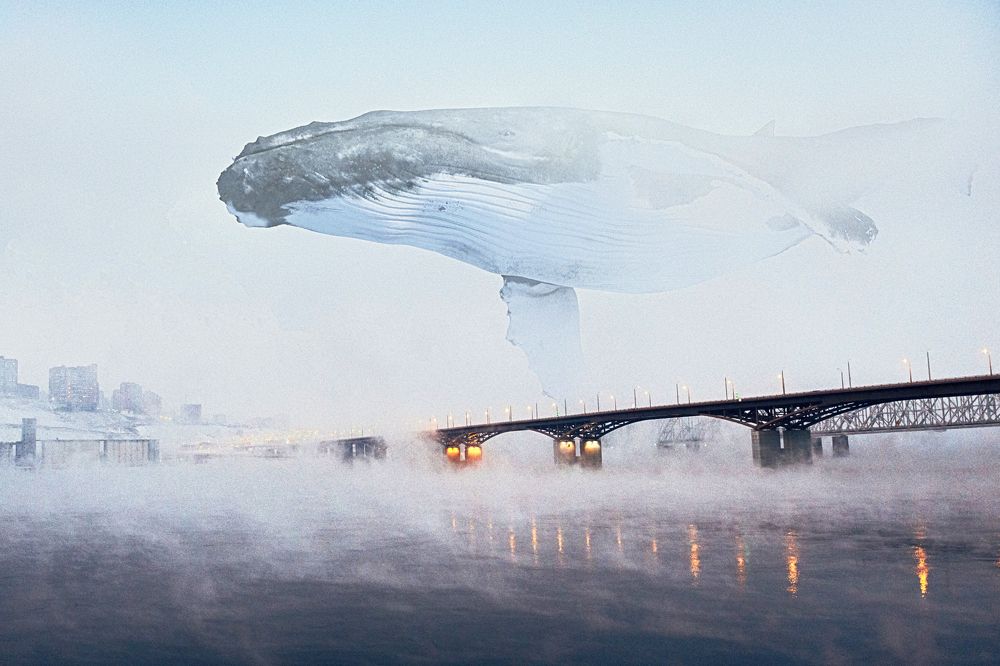 Photograph by Роман Колесников