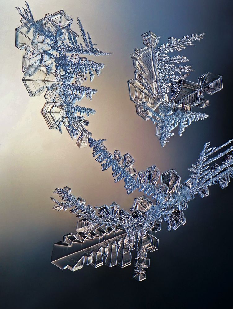 Photograph by Наталья Соколова