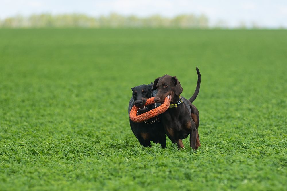 Photograph by Наталья