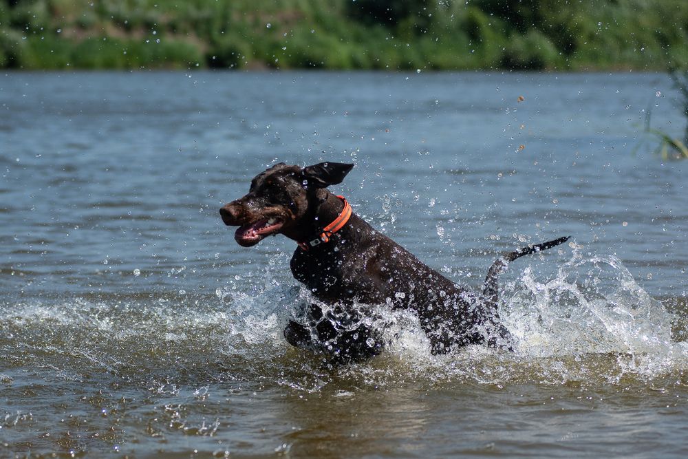 Photograph by Наталья