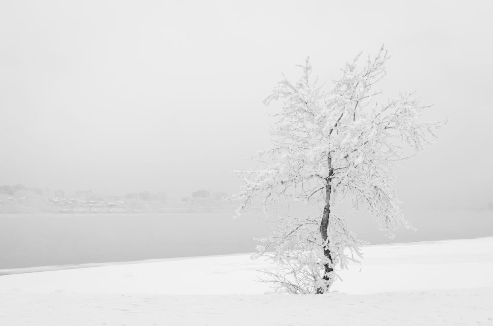 Photograph by Дмитрий Зуев