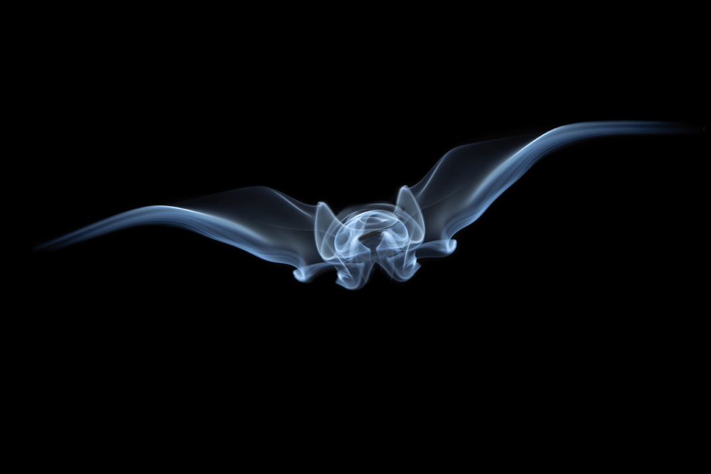 Photograph by Александр Щербаков