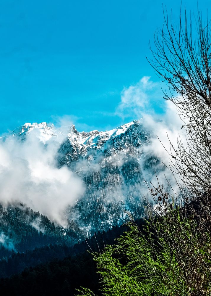 Photograph by Souvik Bhattacharyya