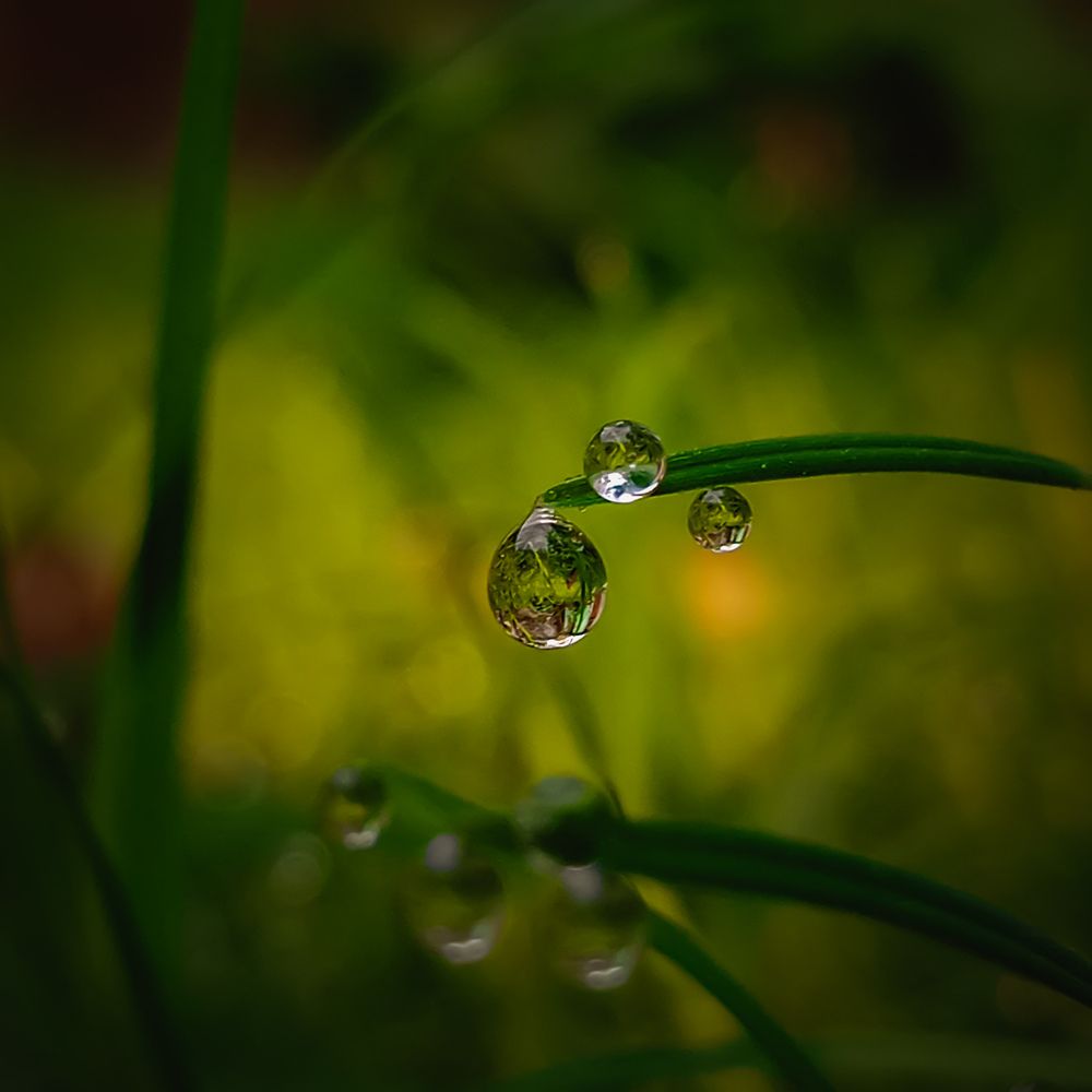 Photograph by Ongkon