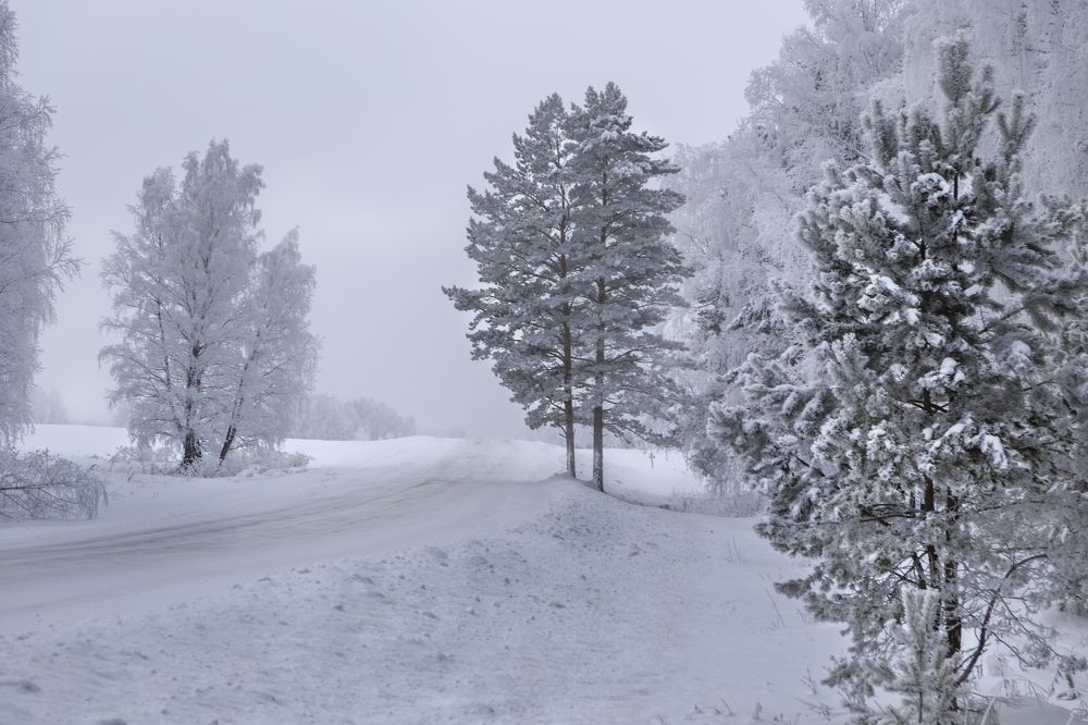 Photograph by виктор ковчин