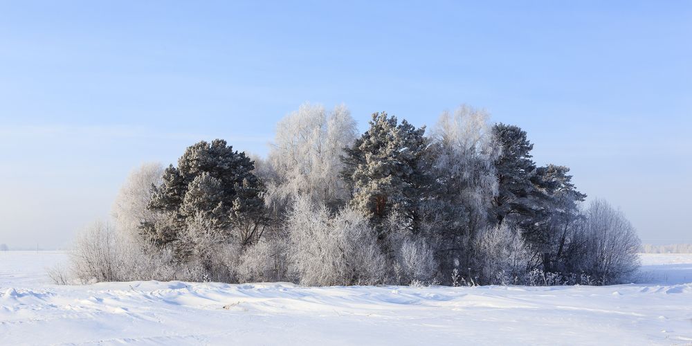 Photograph by виктор ковчин