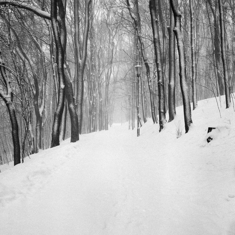 Photograph by Георгий Рысь