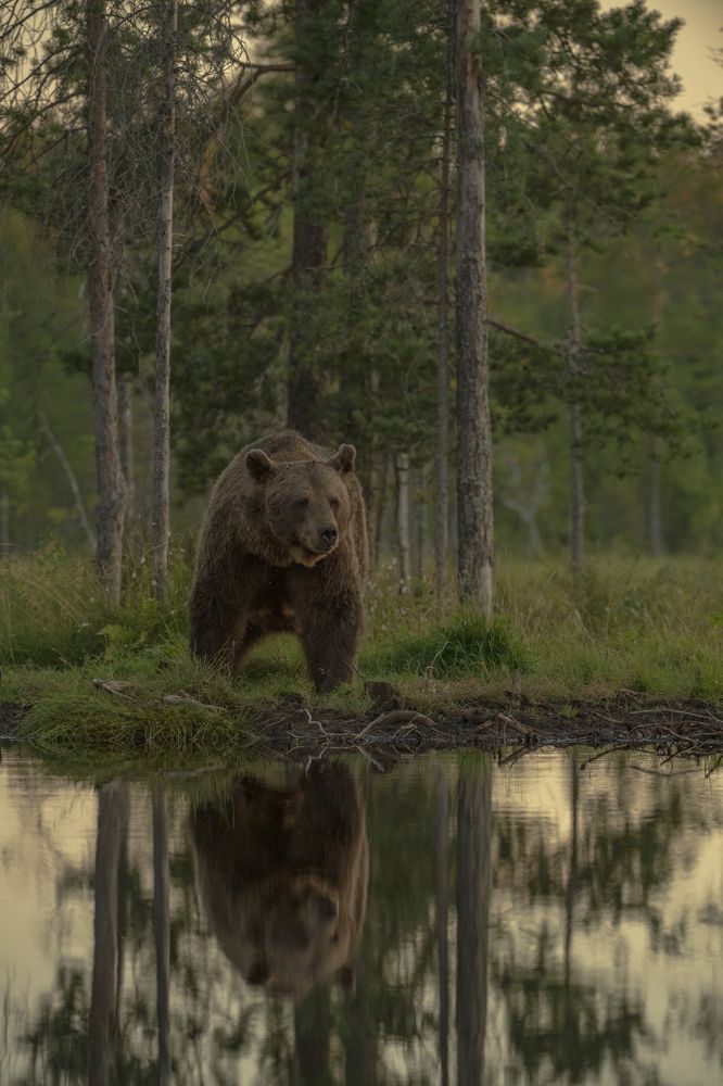 Photograph by Ernestas Balcikonis