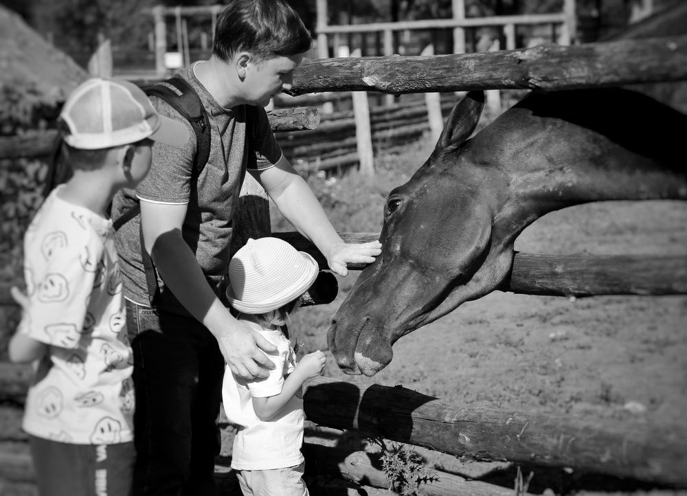 Photograph by Мария Андреева