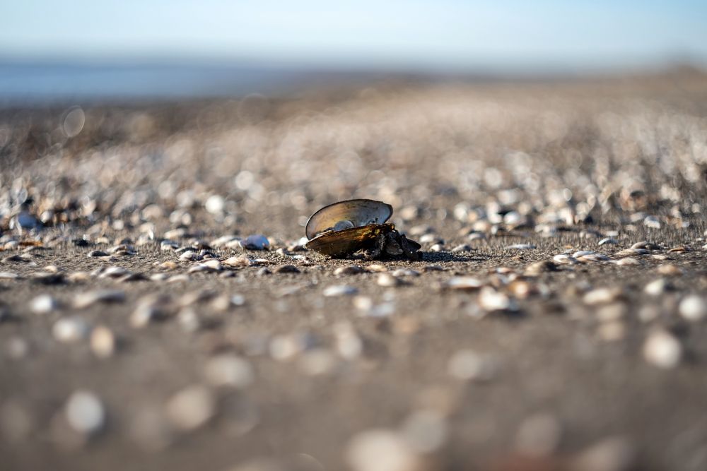 Photograph by Алексей