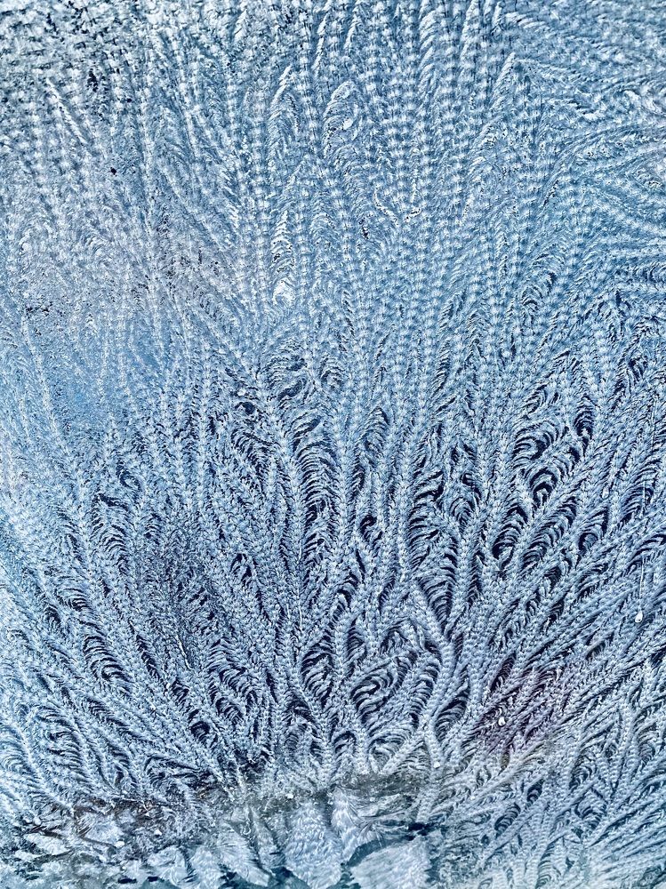 Фотография автора ГУЗАЛИЯ ГАНИЕВА