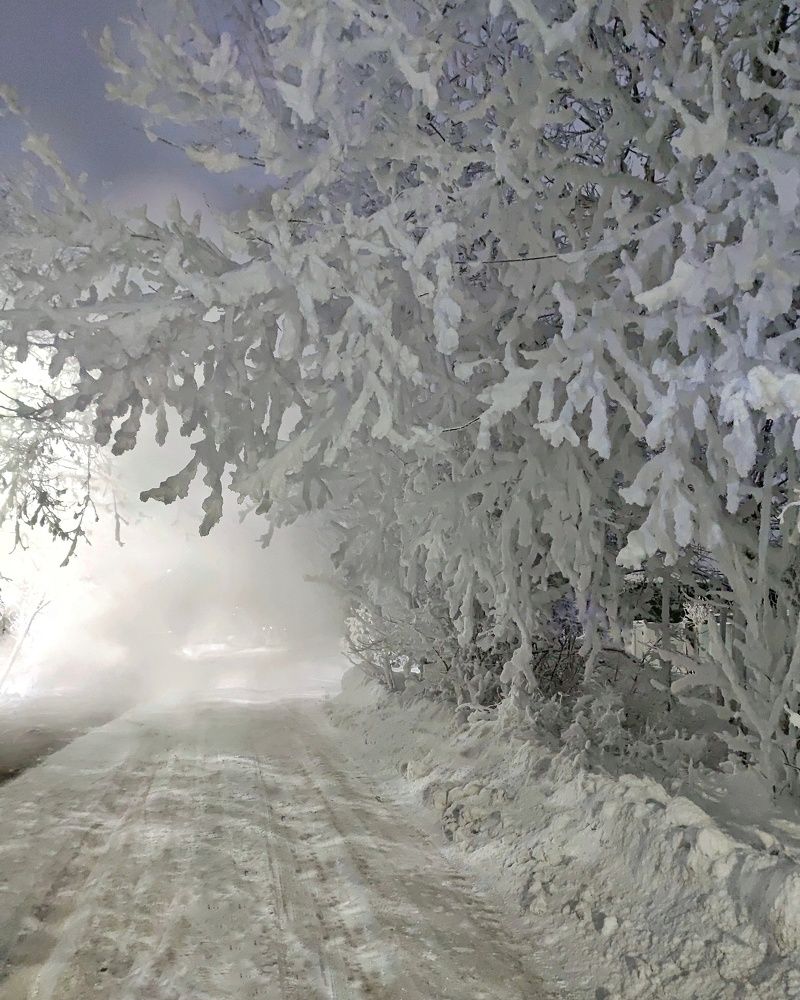 Photograph by Петр Поспелов