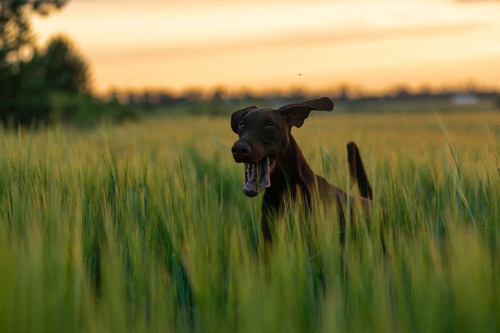 Photograph by Наталья Романова
