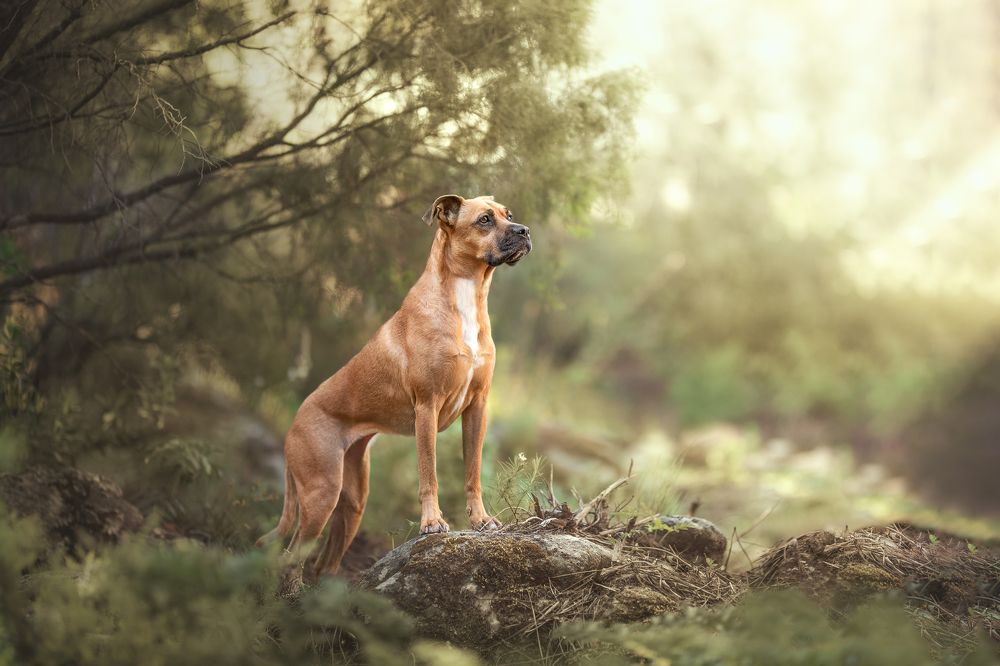 Фотография автора Ana Sánchez