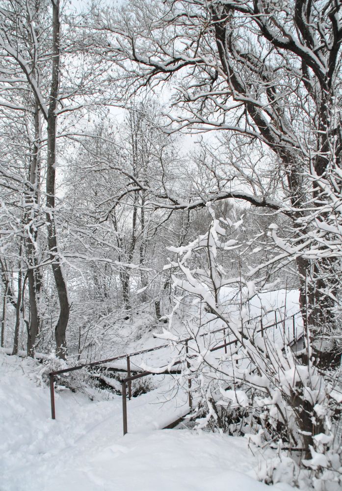 Photograph by Елена Зинцова