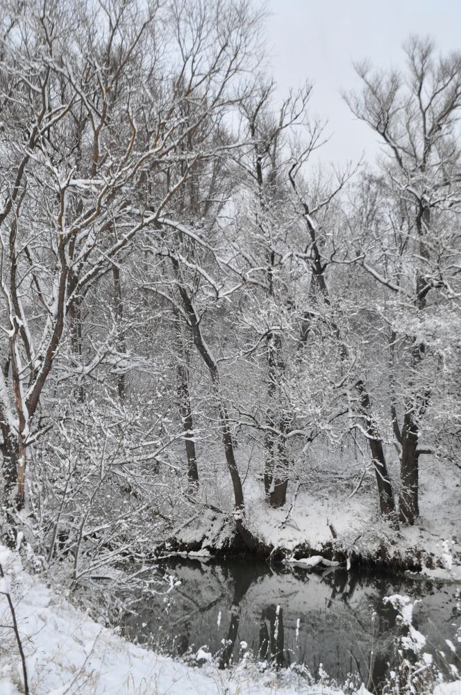 Photograph by Елена Зинцова