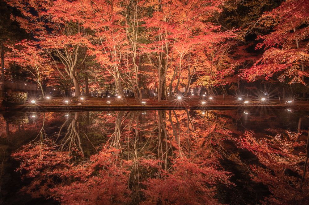The red world of water mirrors.
