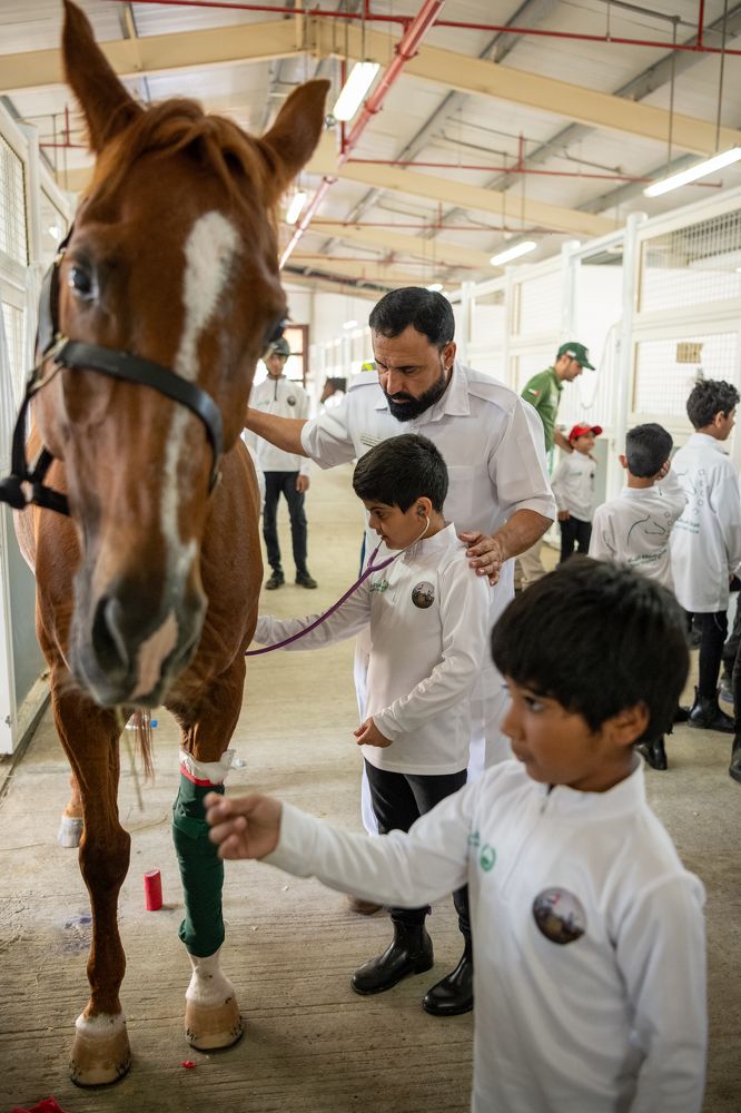 Photograph by Rino Suren