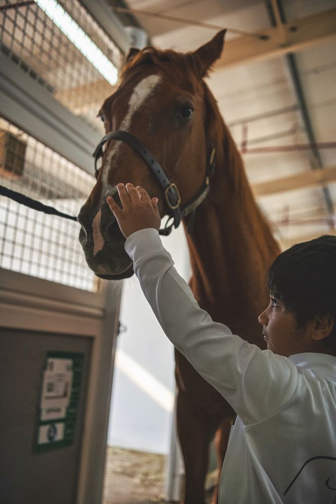 Photograph by Rino Suren